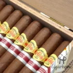 DIPLOMÁTICOS RESERVA CARIBBEAN REGIONAL EDITION 2020 经典珍藏系列加勒比海2020 地区限量版 - 图片 6