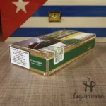 CUABA DIVINOS 圣地