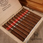 Partagas Serie D Especial 2010年限 - 图片 3