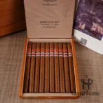 聖路易斯．雷伊 長矛 葡萄牙地限 Adamastor - 图片 3