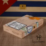 多尔塞码头  NO.50  10支