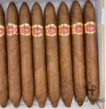 CUABA SALOMONES 所罗门 - 图片 3