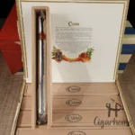 库阿巴 Cuaba 大地 Diadema 2005年 - 图片 4