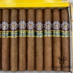 MONTECRISTO OPEN JUNIOR 公开赛系列少年 - 图片 4