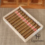 拉弗洛尔．德卡诺   卡诺之花 - 图片 2