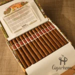 ROMEO Y JULIETA  PETIT JULIETA 小朱丽叶 - 图片 3