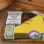 MONTECRISTO OPEN REGATA 公开赛系列比赛