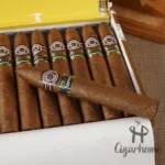 MONTECRISTO OPEN REGATA 公开赛系列比赛 - 图片 4