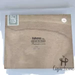 Punch Platino Edición Regional India 2009 - 图片 2