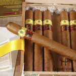 TRINIDAD LA TROVA LCDH 特洛瓦 - 图片 3