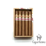 RAMON ALLONES TERRA MAGICA REGIONAL EDITION 2016 ADRIATIC 魔法大地 地区限量版 2016 - 图片 2