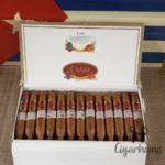 CUABA DIVINOS 圣地 - 图片 2