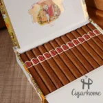 ROMEO Y JULIETA  REGALIAS DE LONDRES 特权伦敦 - 图片 3
