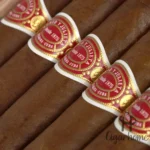 ROMEO Y JULIETA MARAVILLAS 8 马拉维拉斯鼠年特别版 - 图片 5