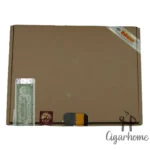 COHIBA GENIOS 天才 10支裝