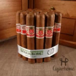 HOYO DE MONTERREY 好友 LE HOYO DE RIO SECO 赛科 - 图片 2