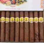 BOLIVAR ROYAL CORONAS 皇家高朗拿 2007年 - 图片 4