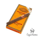 Partagás 5 Chicos 奇科 - 图片 2