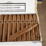 圣克里斯多 LA PUNTA 蓬塔 - 图片 4