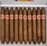 CUABA SALOMONES 所罗门 - 图片 2