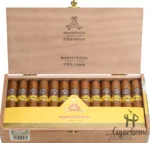MONTECRISTO WIDE EDMUNDO 宽艾蒙多（25）