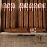 Hoyo de Monterrey Elegantes Cigar LCDH  好友優雅 - 图片 3