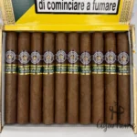 MONTECRISTO OPEN JUNIOR 公开赛系列少年 - 图片 3