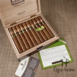 Ramon Allones Absolutos 2024年限 - 图片 4