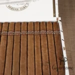 RAFAEL GONZALEZ PANETELAS EXTRA 宾丽特级 - 图片 4