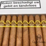 圣克里斯多 LA FUERZA 力量 - 图片 3