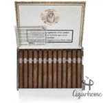 SANCHO PANZA NON PLUS 朗匹士 - 图片 3