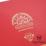 H. UPMANN MAGNUM 52  玛瑙52 虎年限量版 - 图片 5