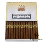 圣克里斯多 LA FUERZA 力量 - 图片 2