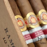 RAMON ALLONES TERRA MAGICA REGIONAL EDITION 2016 ADRIATIC 魔法大地 地区限量版 2016 - 图片 6