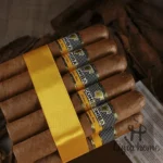 COHIBA  ROBUSTOS 罗伯图 - 图片 3