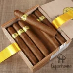 TRINIDAD ESMERALDA 翡翠 - 图片 3