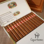 聖路易斯．雷伊   皇家 Regios - 图片 2