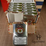 PUNCH Triunfos 50S - 图片 3