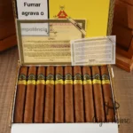 MONTECRISTO OPEN EAGLE 公开赛系列老鹰 - 图片 2