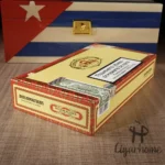 Diplomáticos 外交部长 Cancilleres