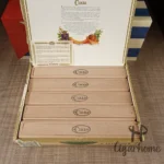 库阿巴 Cuaba 大地 Diadema 2005年 - 图片 3