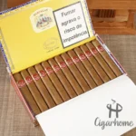 Partagás Shorts 短款 - 图片 2