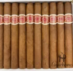 ROMEO Y JULIETA  SPORTS LARGOS 运动员 - 图片 2