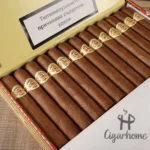 Diplomáticos 外交部长 Cancilleres - 图片 3