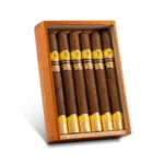 Trinidad 特立尼达 Cabildos 2024LE 卡比尔多斯