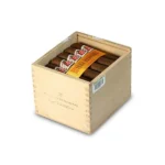 Hoyo de Monterrey 好友 Petit Robusto 小罗伯图