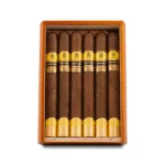 Trinidad 特立尼达 Cabildos 2024LE 卡比尔多斯 - 图片 3