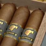 Cohiba 高希霸 Behike 56 贝喜奇56(10支) - 图片 3