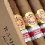 Ramon Allones 雷蒙．阿隆尼 Terra Magica Regional Edition 2016 Adriatic 魔法大地 地区限量版 2016 - 图片 4