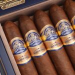 Partagás 帕特加斯 Linea Maestra Maestro 大师系列 大师 - 图片 3